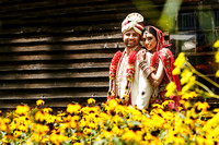 Vishakha & Parashar Wedding